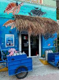 Dive Center for sale - PADI 5 STAR Dive Shop For Sale - 20 years in Biz! Complete set up, Boat, Gear etc..